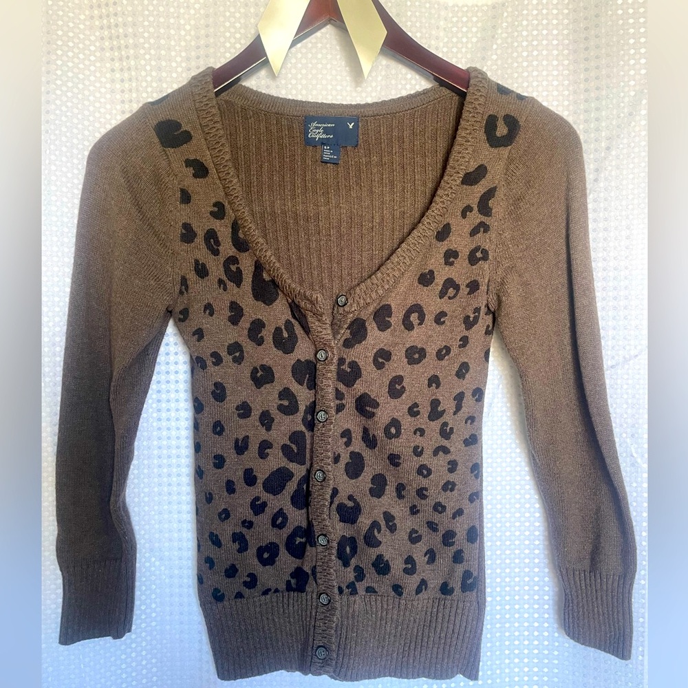 Leopard American Eagle Sweater